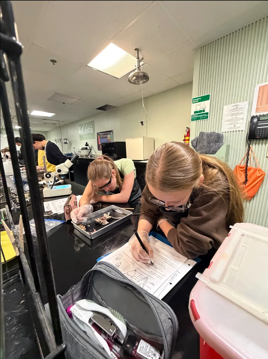 Grace Christian School students in the science lab